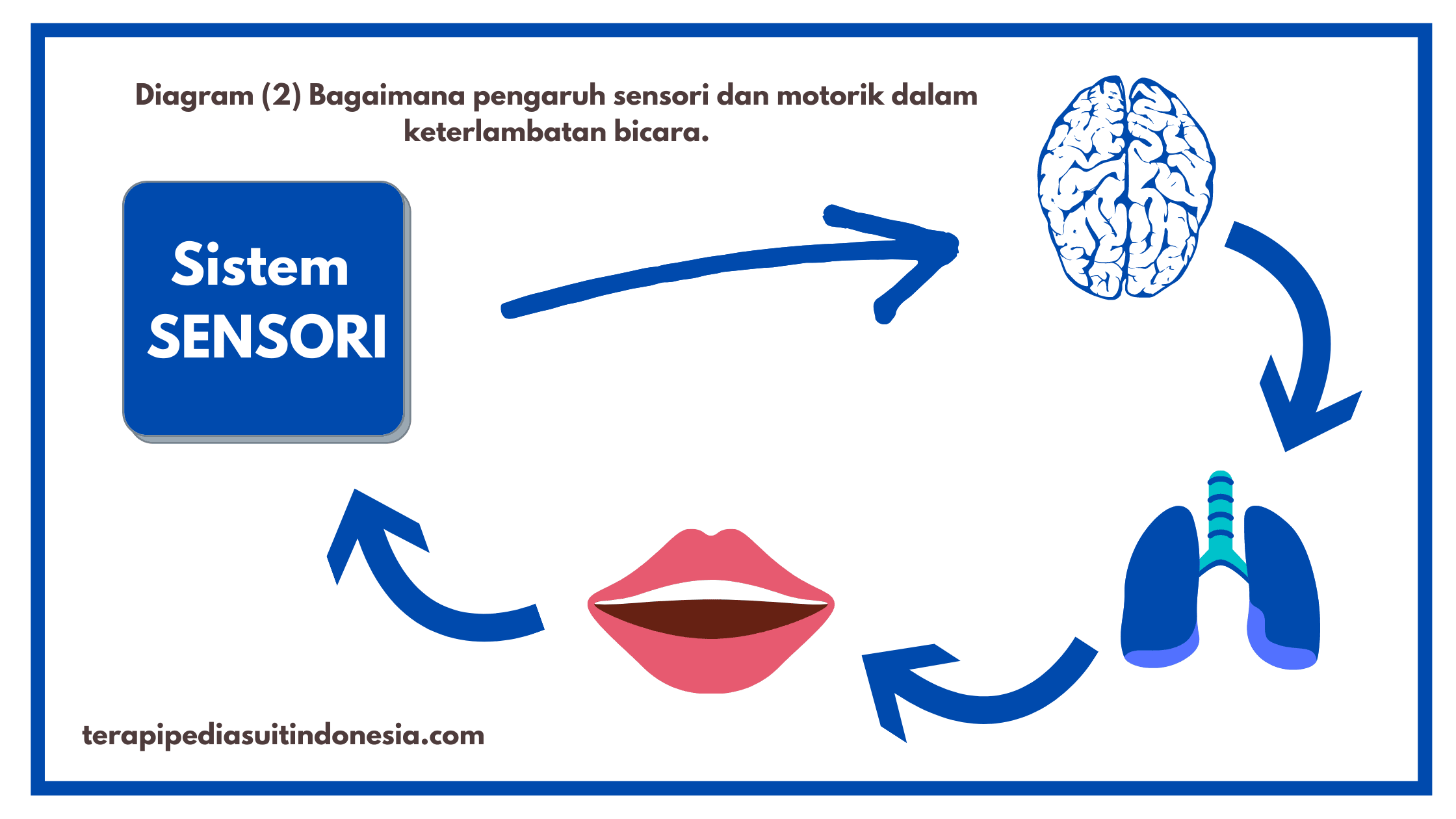 SENSORIK DAN MOTORIK